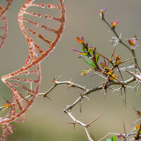 Thorny Legal Issues Raised by DNA Tests